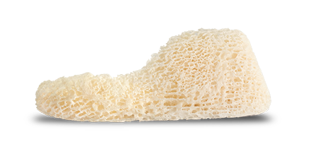 Puros® Customized Block Allograft